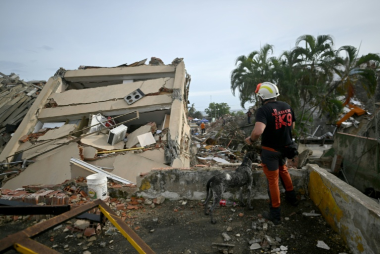 Un sauveteur espagnol et son chien de sauvtegae devant un immeuble effondré après le double séisme au Venezuela, le 3 juillet 2026 à Caraballeda, dans l’État de La Guaira  ( AFP / Juan BARRETO )