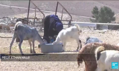 La Cour internationale de justice (CIJ) juge "illégale" l’occupation par Israël de territoires palestiniens depuis 1967