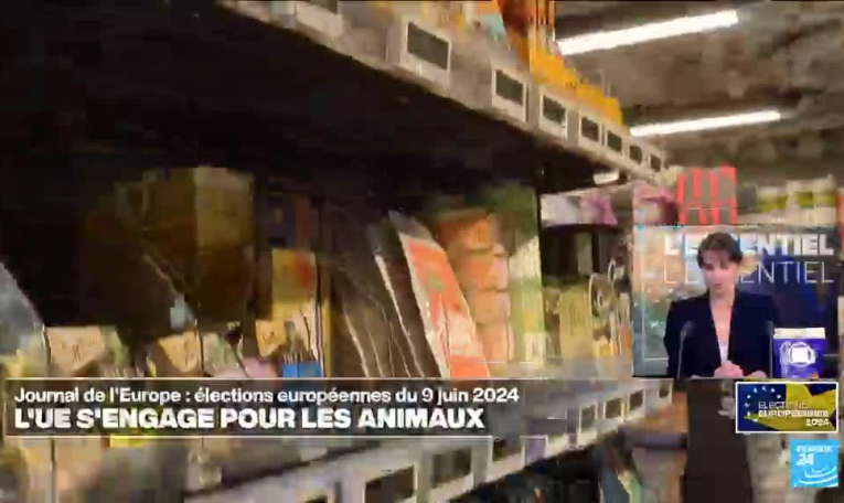 Début du vote au Pays-Bas, centrales nucléaires en Belgique et croquettes sans nitrites !
