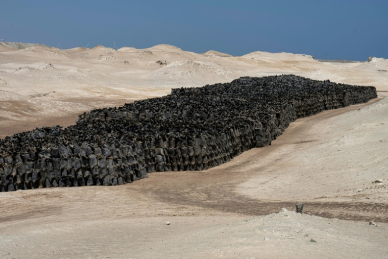Des sacs de guano à la réserve nationale de Punta San Juan de Marcona, dans le sud du Pérou, le 29 septembre 2025 ( AFP / Ernesto BENAVIDES )