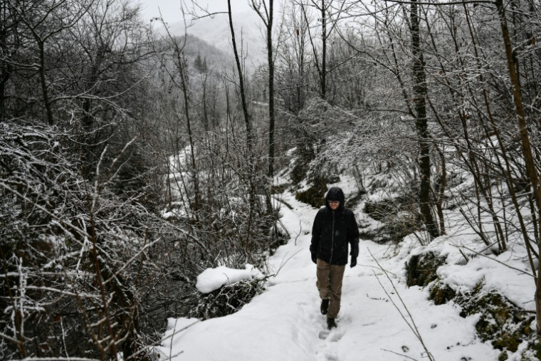 Le chercheur Marco Granata marche dans les bois pour récupérer des pièges photographiques utilisés pour surveiller de petits mustélidés, comme l’hermine, dans leur habitat naturel, à Entracque, dans le nord-ouest de l’Italie, le 22 décembre 2025 ( AFP / MARCO BERTORELLO )