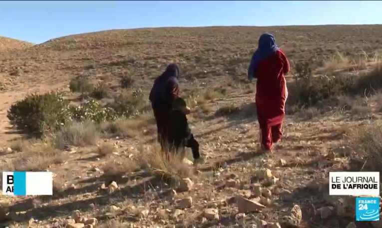 Les Tunisiens préoccupés par les questions économiques plus que par la politique