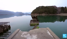 L'île des lépreux : au Japon, l'histoire sombre de Nagashima