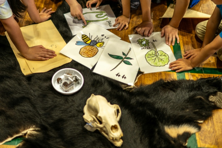 Des élèves d'école primaire participent à un atelier sur les ours animé par Akiko Takii, spécialiste des ours sauvages, dans la ville d'Ina, dans la préfecture japonaise de Nagano, le 6 juillet 2026 ( AFP / Philip FONG )