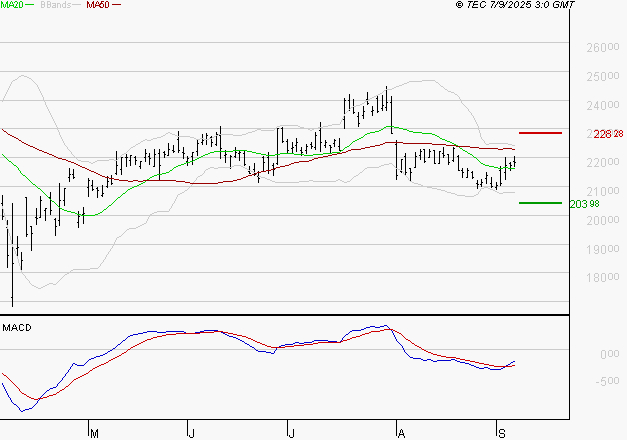SCHNEIDER ELECTRIC SA : Peu de risque à moyen terme