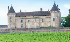 Les vignobles sont des investissements peu taxés et rentables. (© Adobestock)