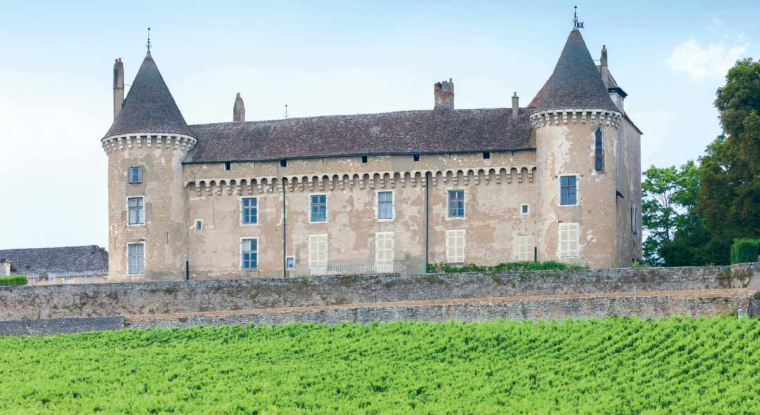 Les vignobles sont des investissements peu taxés et rentables. (© Adobestock)