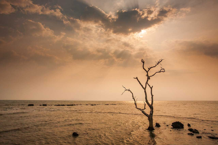 (Crédits photo : Adobe Stock - )