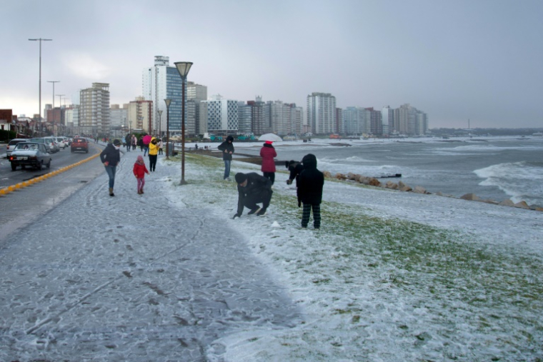 Sur la plage de Miramar, dans la province de Buenos Aires, en Argentine, le 30 juin 2025 ( AFP / SEBASTIAN LOSADA )