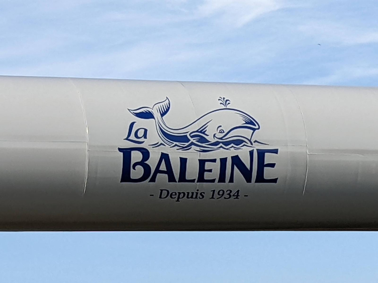 (Crédit photo: H. Chevillot)