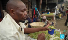 Ouganda : les sauterelles, un mets prisé, délicieux et lucratif