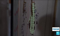 Egypte : un garçon à tout prix ! Le business de la sélection du genre