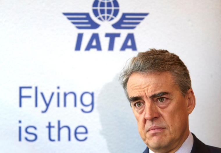 LA CRISE SANITAIRE VA RÉDUIRE LE NOMBRE DE COMPAGNIES AÉRIENNES, SELON IATA