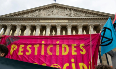 Une banderole "Pesticides" devant l'Assemblée nationale, lors d'une manifestation à Paris, le 27 mai 2025 ( AFP / Leo VIGNAL )