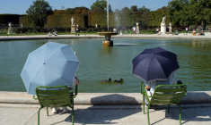 Dans le jardin des Tuileries, à Paris, le 10 septembre 2023 ( AFP / Valery HACHE )