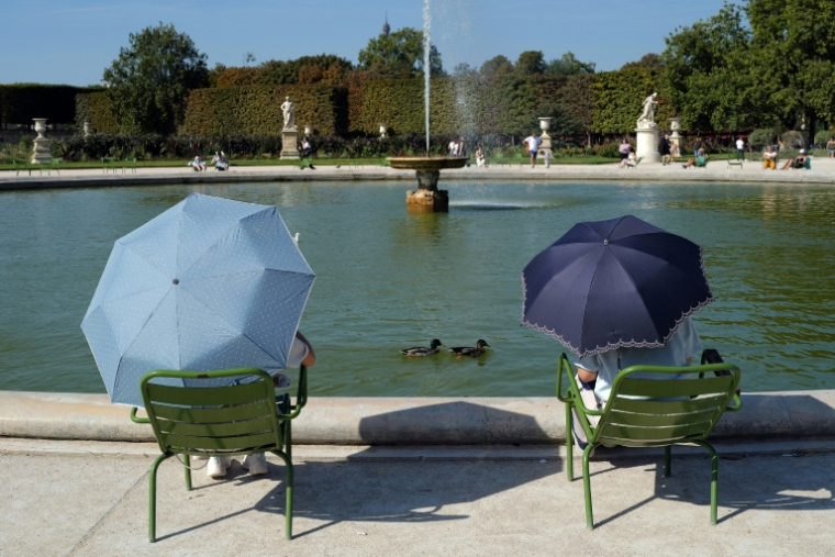 Dans le jardin des Tuileries, à Paris, le 10 septembre 2023 ( AFP / Valery HACHE )