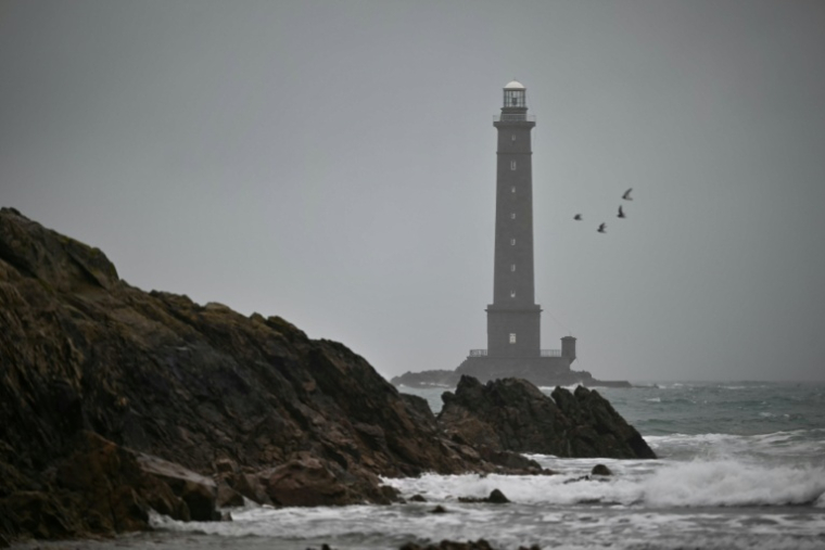 Des oiseaux près du phare de Goury à Auderville, dans la Manche, avant l'arrivée de la tempête Goretti, le 8 janvier 2026 ( AFP / Lou BENOIST )