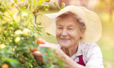 Lepoint sur la retraite de réversion