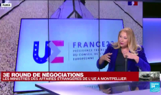 Adhésion de l'Ukraine à l'UE : la demande en cours d'examination