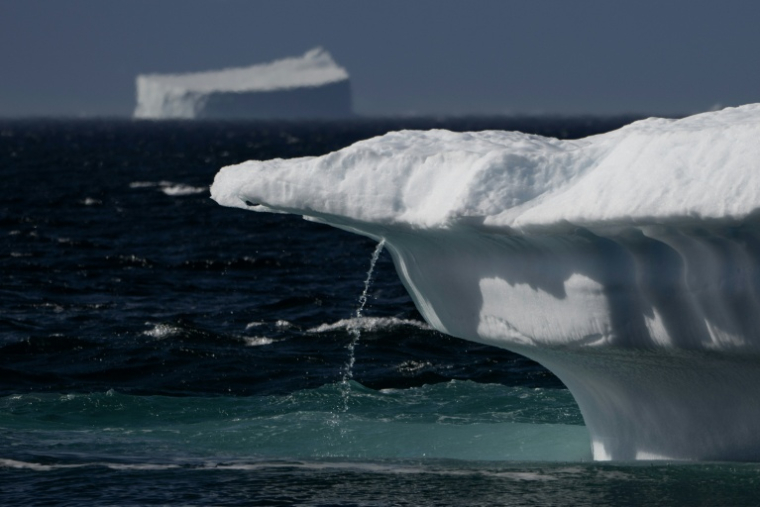 De l'eau s'écoule d'un glacier en train de fondre le 12 août 2023 dans le détroit de Scoresby, au Groenland  ( AFP / Olivier MORIN )