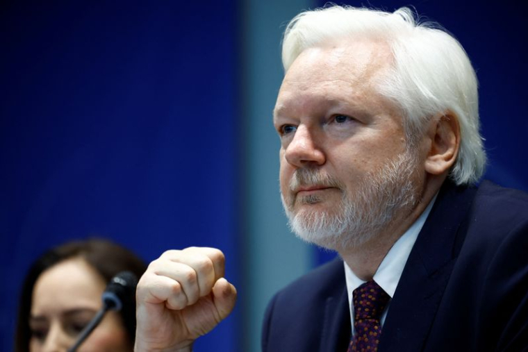 Julian Assange, fondateur de WikiLeaks, assiste à une audition de l'APCE à Strasbourg