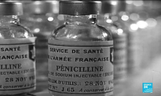80 ans de la première utilisation de la pénicilline : comment a été découvert cet antibiotique ?