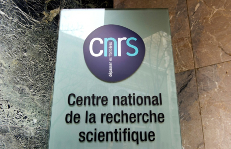 le CNRS lance un programme pour attirer des scientifiques étrangers dont le travail est menacé, notamment aux Etats-Unis, dans la ligne du souhait de l'exécutif ( AFP / LIONEL BONAVENTURE )