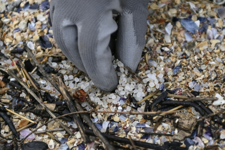 Des micro-plastiques collectés sur une plage à Corrubedo, dans le nord-ouest de l'Espagne, le 13 janvier 2024 ( AFP / MIGUEL RIOPA )