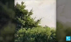 Incendies en Bretagne : la forêt de Brocéliande en proie aux flammes