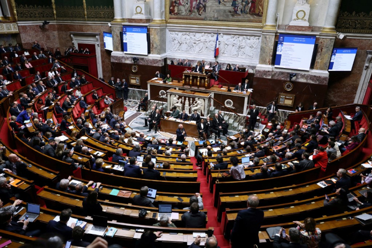 ( AFP / THOMAS SAMSON )