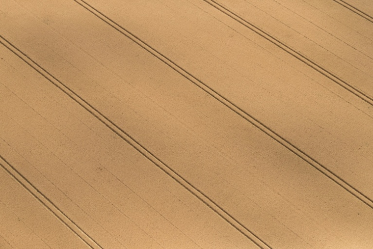 Cela vise à répondre aux difficultés des cultivateurs de céréales ou de betteraves qui dénoncent l'envolée de leurs coûts de production ( AFP / Kenzo TRIBOUILLARD )