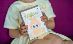 Le phénomène Labubu est devenu incontournable. ( crédit photo : dtatiana - stock.adobe.com )