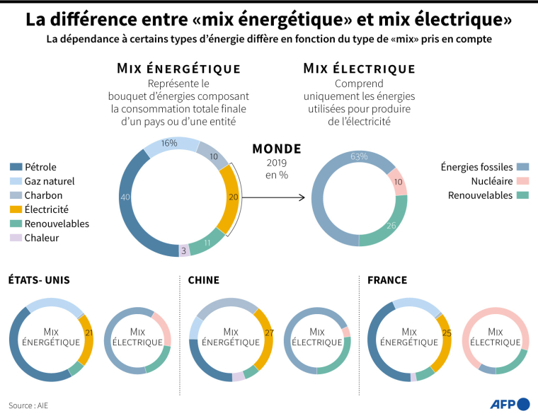 Graphique montrant les différentes sources d'énergies prises en compte dans le calcul du "mix énergétique" et du "mix électrique" ( AFP / )