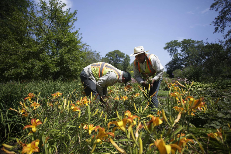 ( GETTY IMAGES NORTH AMERICA / JOSHUA LOTT )