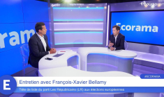 François-Xavier Bellamy (LR) : "La Chine a une stratégie offensive de conquête pour détruire la production industrielle en Europe !"