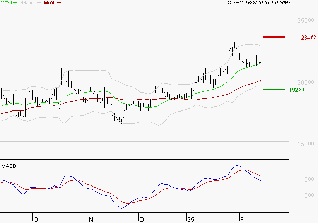 SARTORIUS STEDIM BIOTECH : L'indécision domine