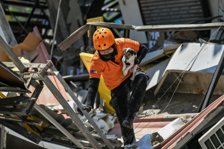 Un secouriste porte un chien de sauvetage lors d'opérations de recherche au niveau d'un bâtiment effondré, le 9 juin 2026 à General Santos aux Philippines ( AFP / Jam STA ROSA )