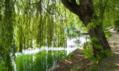 4 virées à faire à moins de 100 km de Paris (Crédits photo : Shutterstock)