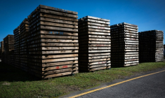 Un site de retraitement de traverses de chemins de fer, à Biars-sur-Cère (Lot), le 30 octobre 2025 ( AFP / Matthieu RONDEL )