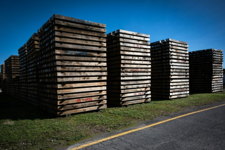 Un site de retraitement de traverses de chemins de fer, à Biars-sur-Cère (Lot), le 30 octobre 2025 ( AFP / Matthieu RONDEL )