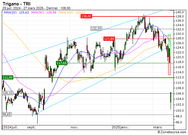 Trigano : Désactivation du turbo CALL 196MS (-75.2%) (196MS)