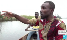 Côte d'Ivoire : les mangroves menacées par les constructions anarchiques