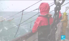 La pêche, enjeu majeur de l'accord de libre échange post-Brexit