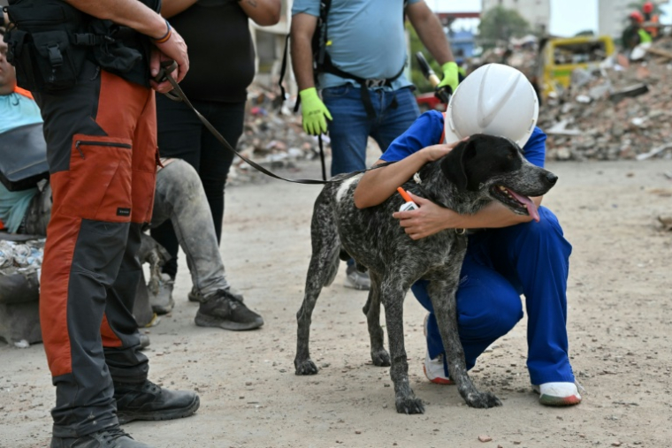 Un bénévole étreint le chien de sauvetage d'une équipe de sauveteurs espagnols après le double séisme au Venezuela, le 3 juillet 2026 à Caraballeda, dans l’État de La Guaira  ( AFP / MARTIN BERNETTI )