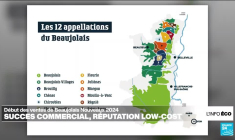 Le Beaujolais nouveau, une réussite commerciale... plus que gustative