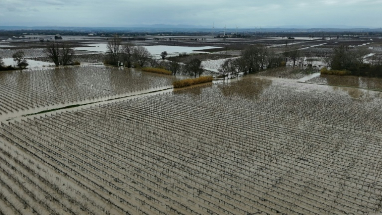 Des champs inondés à Coursan dans l'Aude le 19 janvier 2026 ( AFP / Lionel BONAVENTURE )