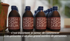 Vinaigre de citrouille, yuzu de maïs: le célèbre restaurant noma ouvre une boutique