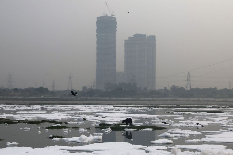PLUS FORTE CHUTE JAMAIS ENREGISTRÉE DES ÉMISSIONS DE CO2 AU PREMIER SEMESTRE
