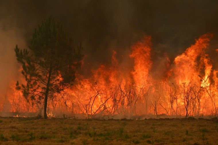 Incendie de forêt à Marcheprime, à l'ouest de Bordeaux le 26 juillet 2026  ( AFP / Alain JOCARD )