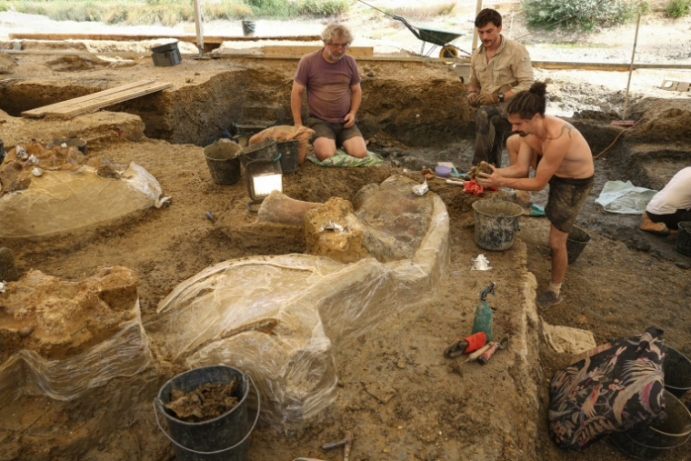 Extraction d'ossements fossilisés de dinosaures sur un site de fouilles à Angeac-sur-Charente, le 19 juillet 2025 en Charente ( AFP / ROMAIN PERROCHEAU )